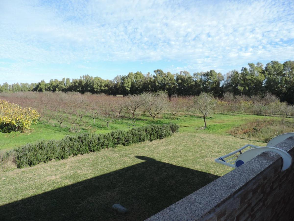 Agriturismo I Doni Del Mandorlo Alghero Eksteriør billede
